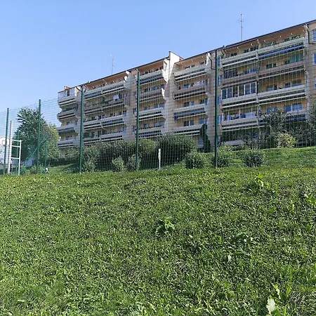 Laurka Kamienna Gora