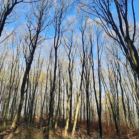 Laurka Appartement *