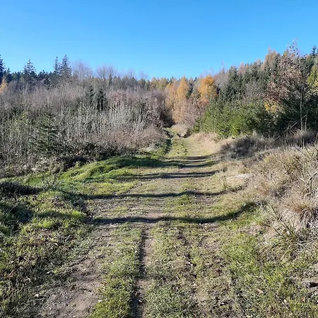 Apartamento Laurka *