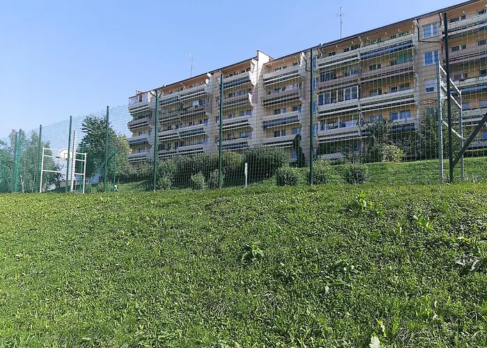 Laurka Kamienna Gora