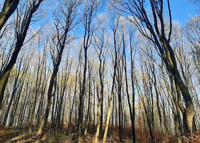 Laurka Apartamento *