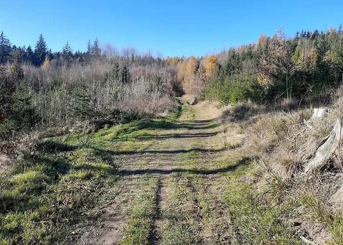 Apartamento Laurka *